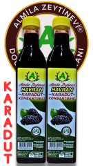 KARADUT KONSANTRESİ 2'Lİ AVANTAJ PAKET(Şekerli)