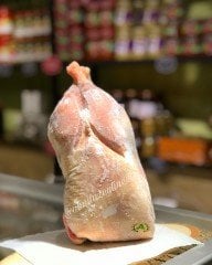 DOĞAL ORTAMDA YETİŞEN KÖY TAVUĞU