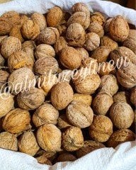 KABUKLU CEVİZ İNCE KABUK (TEKİRDAĞ)