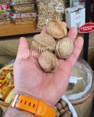 KABUKLU CEVİZ İNCE KABUK (TEKİRDAĞ)